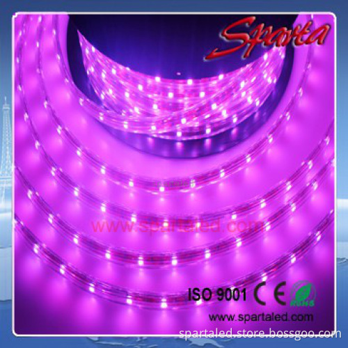 new 15W 60led 220v 5050 led high voltage strip provide all white,red